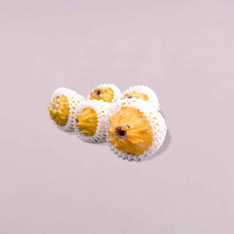 Protectores de fruta