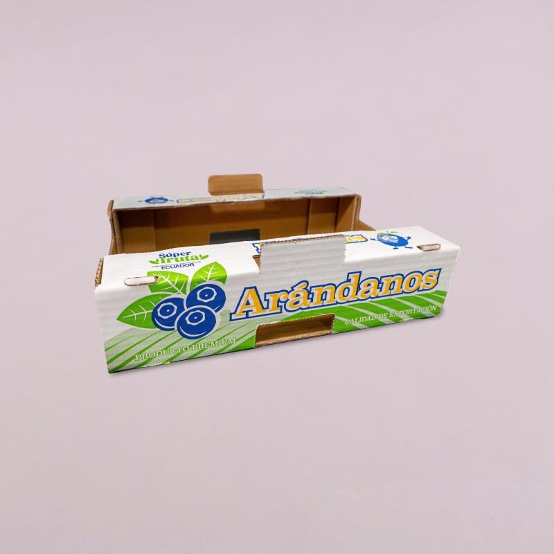 CAJA ARANDANOS LOCAL, 464 CB GENERICA VERSIÓN 2