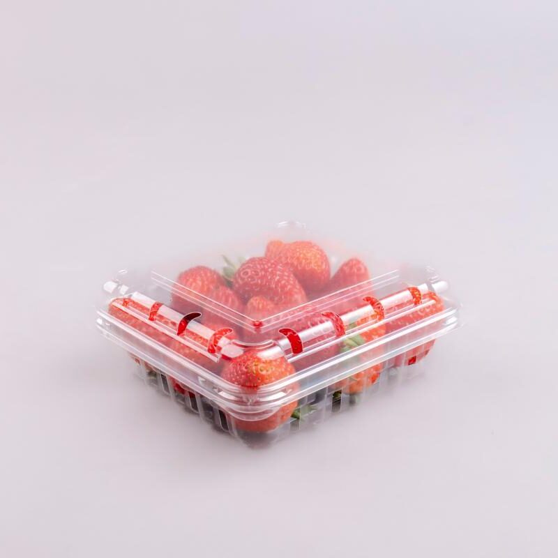 CONTENEDOR 6 ONZ PERFORADO 200GR