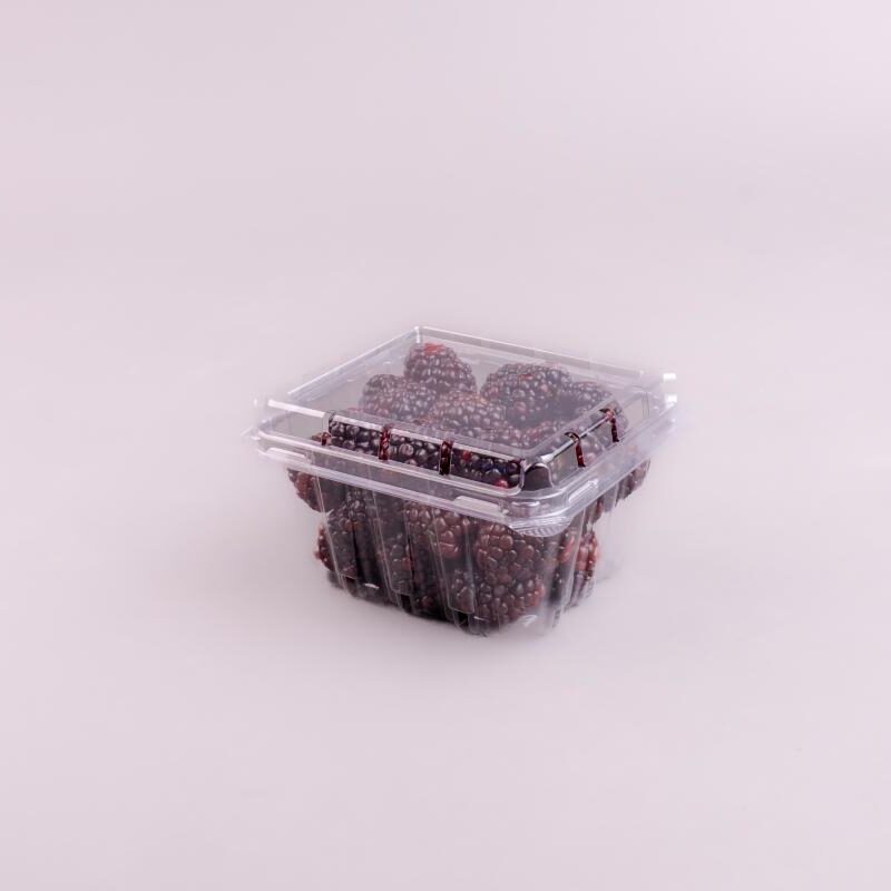 TF/CLAMSHELL 1 DRY PRINT SMI 250g