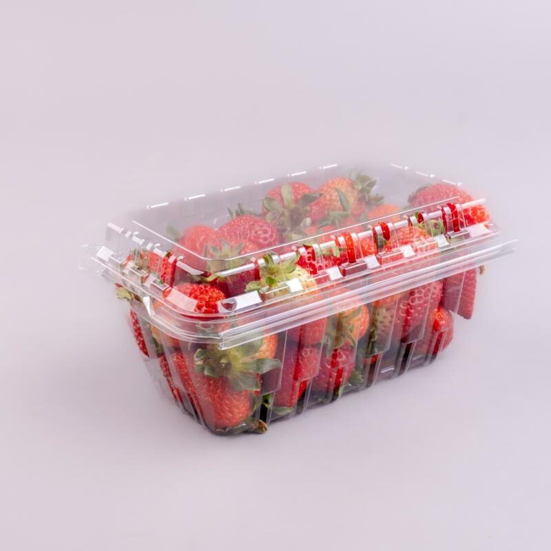 TF/CLAMSHELL 1 lb (500g) SMI PET NATURAL