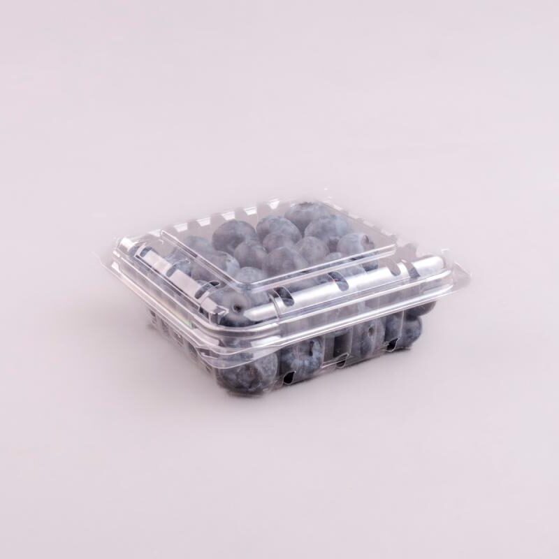 CONTENEDOR PET CUADRADO 3535-125g