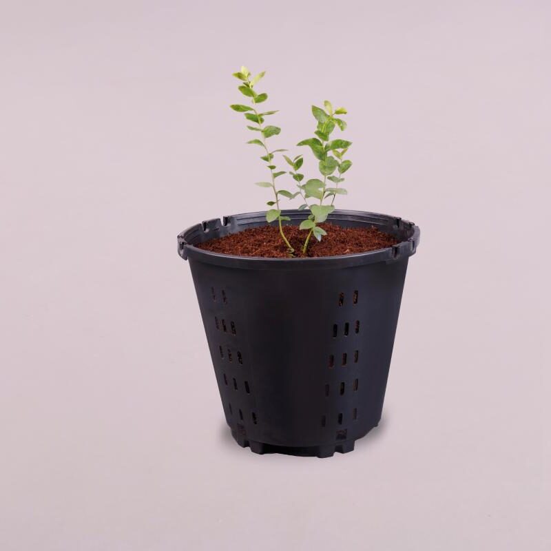 MACETA AGRÍCOLA 25 LTS